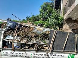 Best Basement Cleanout  in Galena Park, TX